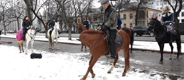 Өзгөчө митинг. Жогорку Кеңештин алдында өткөн акциянын видеосу - Sputnik Кыргызстан