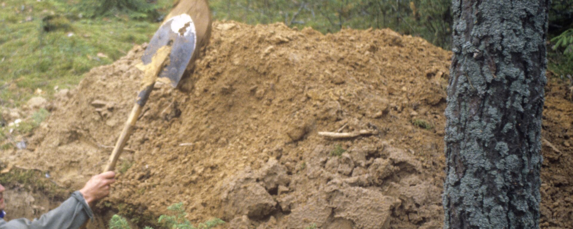 Киши чуңкур казып жатат. Архив - Sputnik Кыргызстан, 1920, 10.06.2025