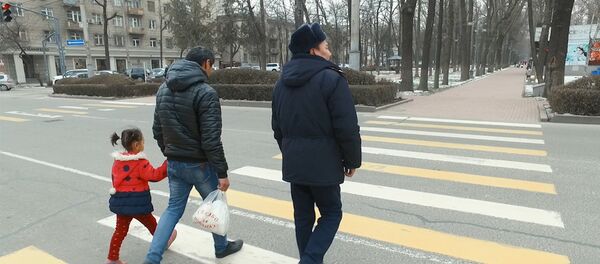 Кулакчынды алып, капюшонду чеч! Жол чийинден өтүүдөгү 7 эреже. Видео - Sputnik Кыргызстан