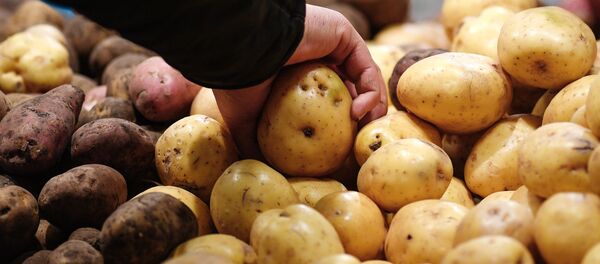 Торговый центр Капитолий в Москве - Sputnik Кыргызстан