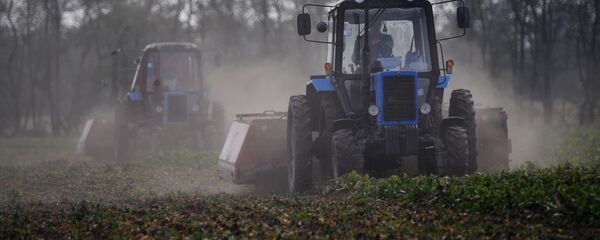 Түшүм жыйноо. Архив - Sputnik Кыргызстан