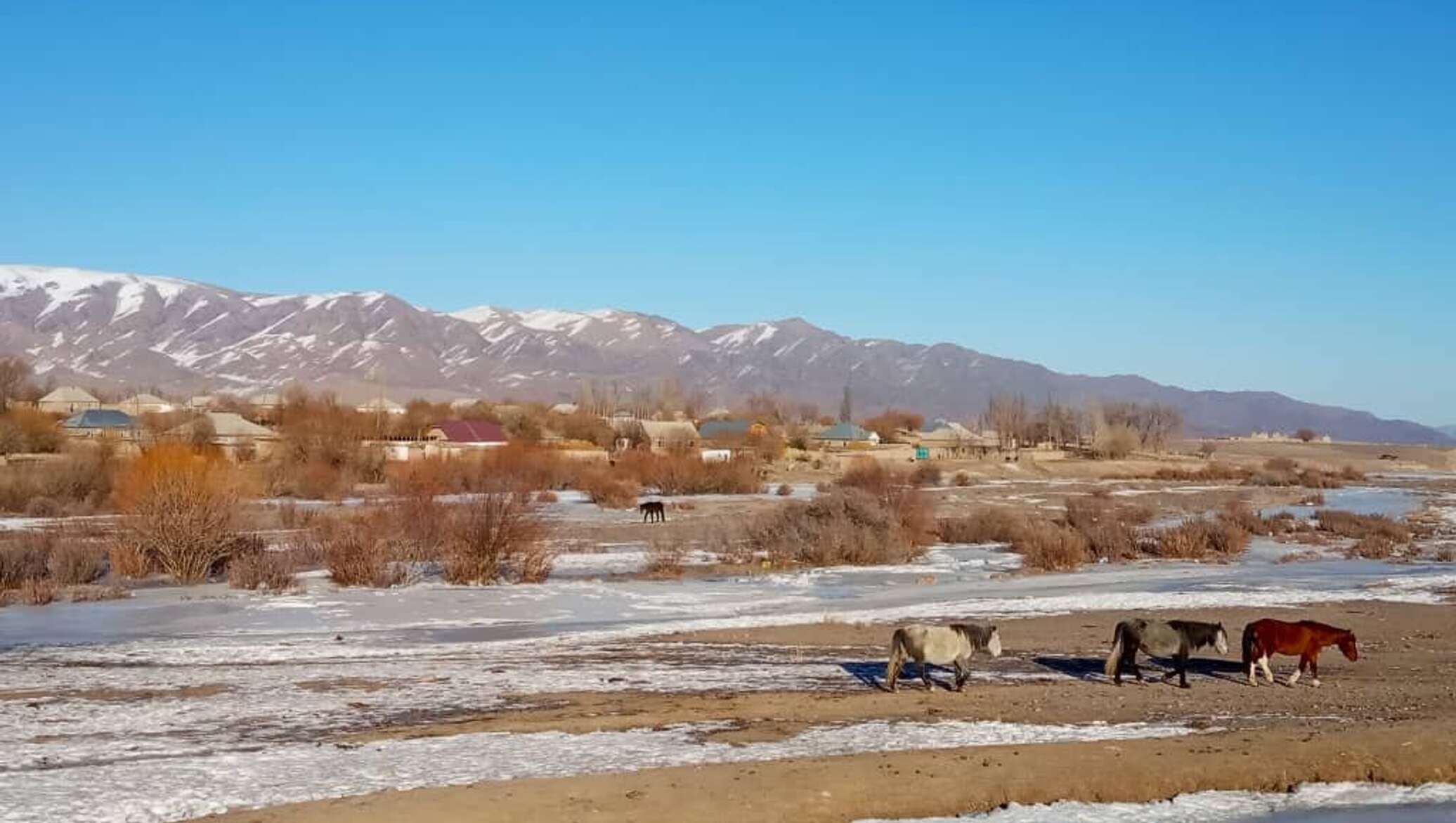 Кочкор кыргызстан. Село Кыркказык Талас. Киргизия село Арал. Село Кочкор Кыргызстан. Село Арал Талас.