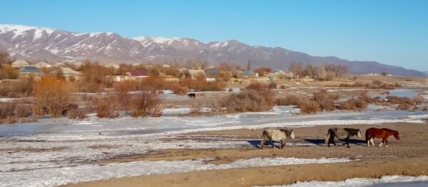 Тайвандын расмий аталышы Кызыл-Дөбө. Ал Кочкор районунун Кара-Суу айыл өкмөтүнө кирет. - Sputnik Кыргызстан