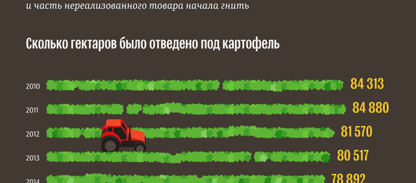 Как менялись цены на картофель в КР - Sputnik Кыргызстан