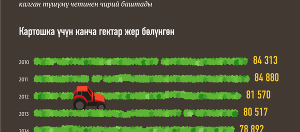 Кыргызстанда картошканын баасы кандай өзгөрдү - Sputnik Кыргызстан