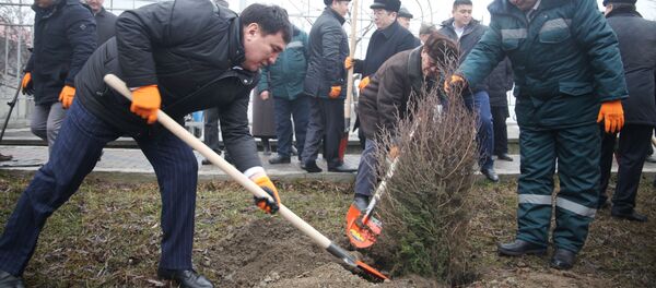Посадка саженцев можжевельника в Оше Посадка саженцев можжевельника в Оше - Sputnik Кыргызстан