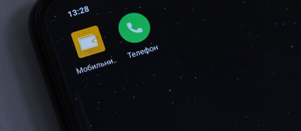 Электронный кошелек Мобильник - Sputnik Кыргызстан