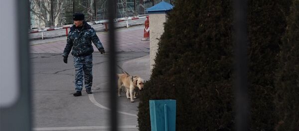 Что происходило в аэропорту Манас во время поиска бомбы - Sputnik Кыргызстан