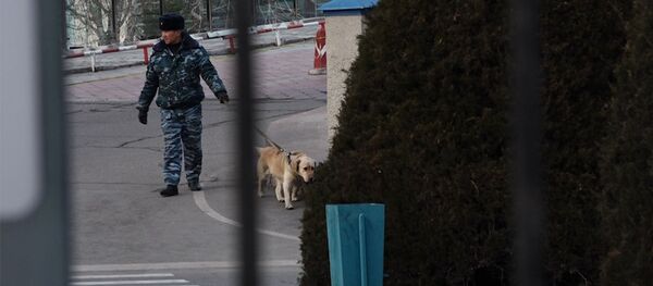 Күткөн эл, курчоого алынган аэропорт. Манаста бомба изделип жаткандагы видео Күткөн эл, курчоого алынган аэропорт. Манаста бомба изделип жаткандагы видео - Sputnik Кыргызстан