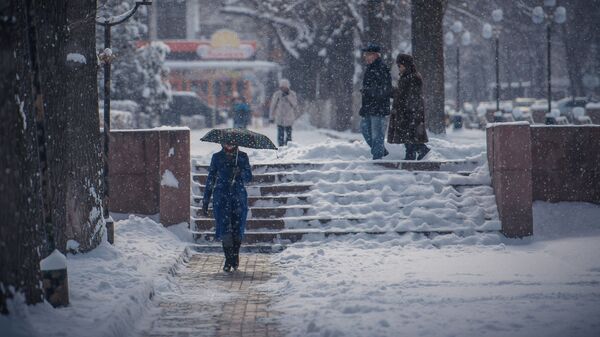 Женщина с зонтом идет по тротуару во время снегопада в Бишкеке. Архивное фото  - Sputnik Кыргызстан