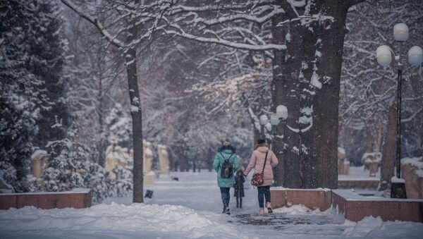 Девушки идут по одной из улиц Бишкека. Архивное фото - Sputnik Кыргызстан
