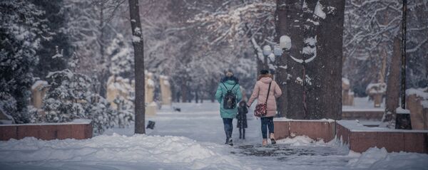 Последствия сильного снегопада в Бишкеке - Sputnik Кыргызстан