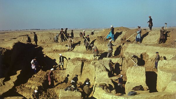 Раскопки советско-афганской археологической экспедиции - Sputnik Кыргызстан