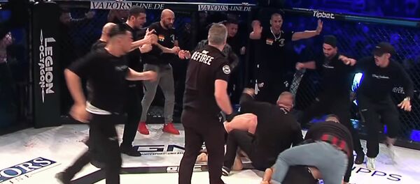 Бой на турнире ММА закончился массовой дракой в стиле Нурмагомедова - Sputnik Кыргызстан