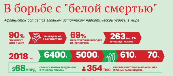 В год 68 млрд долларов — о наркобизнесе в Афганистане - Sputnik Кыргызстан