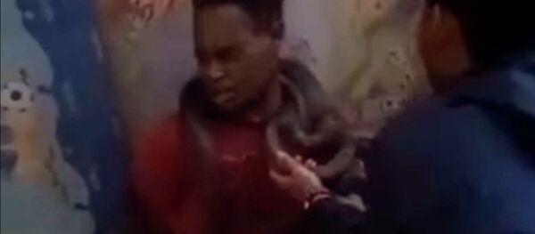 Индонезияда полиция шектүүнү жылан менен коркутуп, күнөөсүн моюндаткан. Видео Индонезияда полиция шектүүнү жылан менен коркутуп, күнөөсүн моюндаткан. Видео - Sputnik Кыргызстан