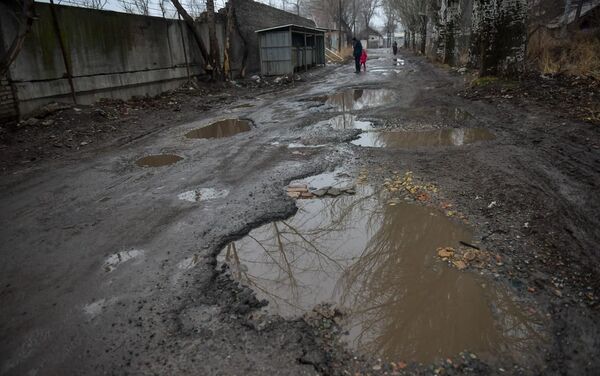 Речь идет о ремонте и расширении дорог в Бишкеке и необходимости в связи с этим вырубки деревьев - Sputnik Кыргызстан