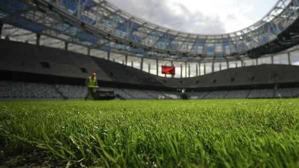 Жумушчу курулуп жаткан стадиондо чөп кыркып жатат. Архив - Sputnik Кыргызстан
