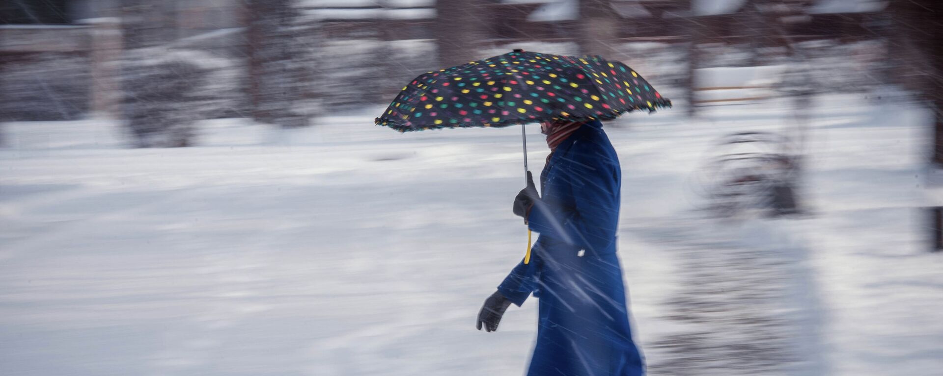 Девушка с зонтом во время снегопада в Бишкеке. Архивное фото - Sputnik Кыргызстан, 1920, 13.11.2022