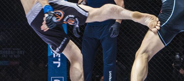 Бои без правил в Бишкеке Бои без правил в Бишкеке - Sputnik Кыргызстан