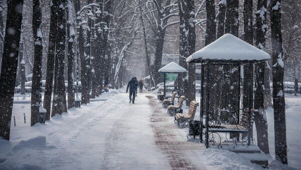 Люди на проспекте Эркиндик в Бишкеке во время снегопада. Архивное фото - Sputnik Кыргызстан
