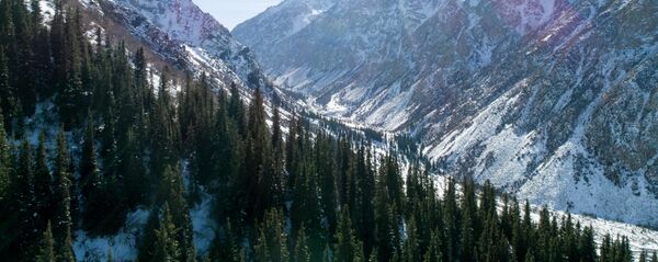 Национальный парк Ала-Арча в Чуйской области. Архивное фото Национальный парк Ала-Арча в Чуйской области. Архивное фото - Sputnik Кыргызстан