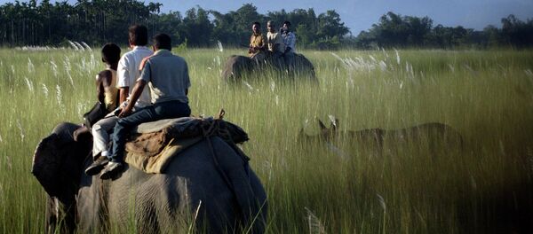 Заповедник Манас в Индии - Sputnik Кыргызстан