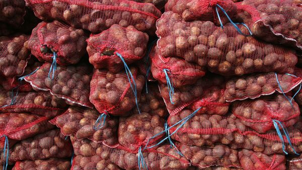 Мешки с картофелем. Архивное фото - Sputnik Кыргызстан