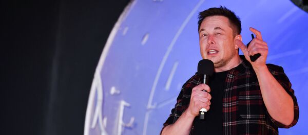 Соучредитель и главный исполнительный директор Tesla Inc. Илон Маск - Sputnik Кыргызстан