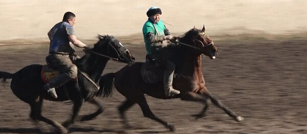 Аттан кулаган, ылай болгон депутаттар. Аткаминерлер ойногон көк бөрүнүн видеосу - Sputnik Кыргызстан