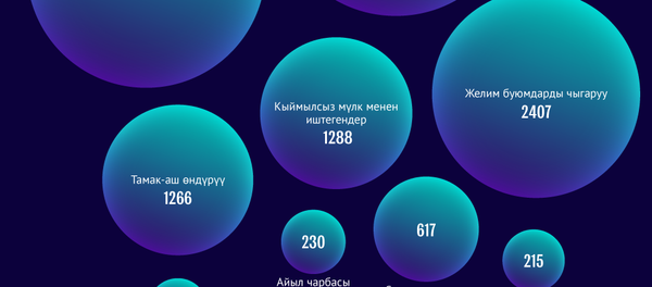 Кыргызстандагы компаниялар канча табышты - Sputnik Кыргызстан