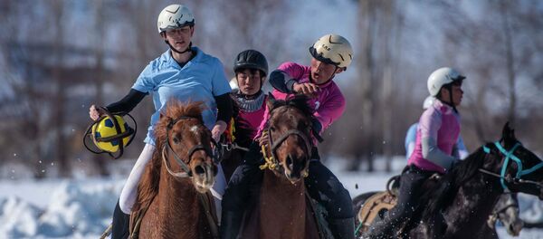 Чемпионат по хорсболу в Токтогульском районе Джалал-Абадской области Чемпионат по хорсболу в Токтогульском районе Джалал-Абадской области - Sputnik Кыргызстан