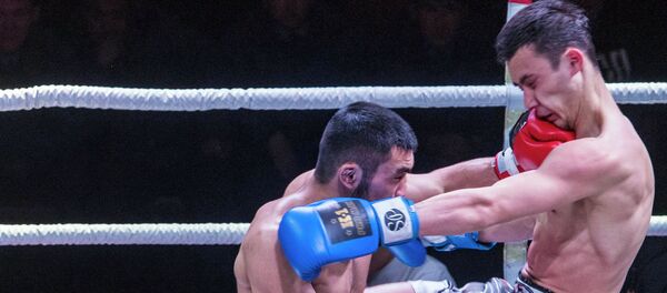 Международный турнир по кикбоксингу Max Pro K1 в Бишкеке Международный турнир по кикбоксингу Max Pro K1 в Бишкеке - Sputnik Кыргызстан