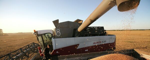 Уборка пшеницы в Новосибирской области - Sputnik Кыргызстан