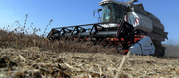 Соя түшүмүн жыйноо. Архив Соя түшүмүн жыйноо. Архив - Sputnik Кыргызстан