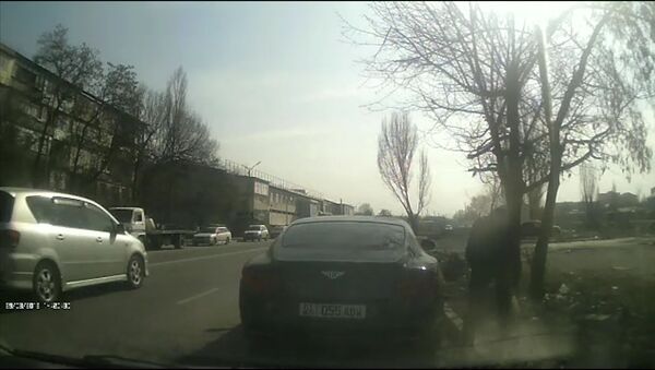 Бишкекте Bentley автоунаасынын айдоочусу жол четине таштанды ыргытты. Видео - Sputnik Кыргызстан