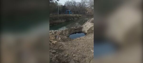 Угроза экологии Бишкека — в метре от русла Ала-Арчи разлили масло. Видео - Sputnik Кыргызстан