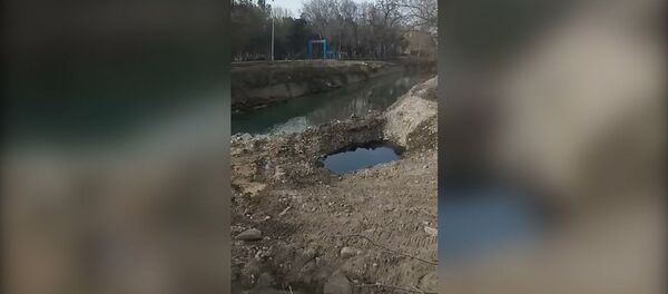 Ала-Арча дарыясынын нугуна күйүүчү май төгүлүп калган видео - Sputnik Кыргызстан