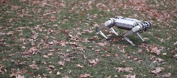 Как будто живой — четвероногий робот делает обратное сальто. Видео - Sputnik Кыргызстан