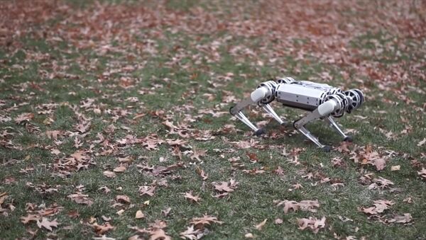 Как будто живой — четвероногий робот делает обратное сальто. Видео - Sputnik Кыргызстан