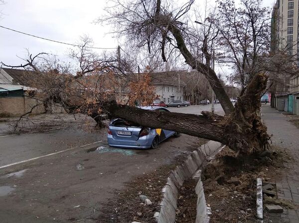 Бишкекте бак кулап, таксисттин автоунаасын басып калды. Сүрөт - Sputnik Кыргызстан