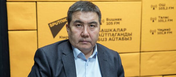 Руководитель отдела декларации ГНС Мукай Нусупбеков - Sputnik Кыргызстан