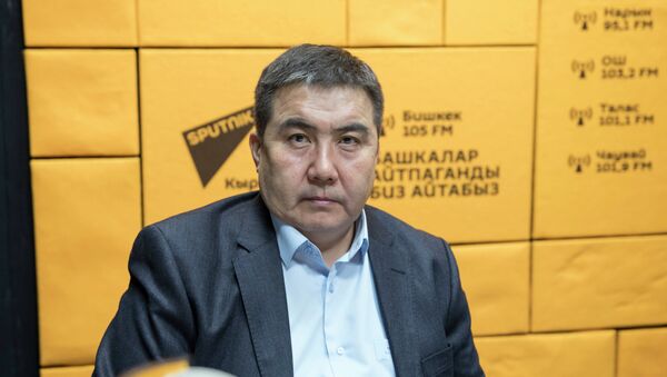 Руководитель отдела декларации ГНС Мукай Нусупбеков - Sputnik Кыргызстан