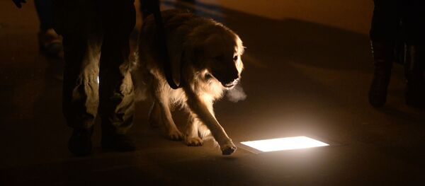 Тверская улица в Москве - Sputnik Кыргызстан