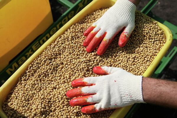 У главы Минсельхоза КР соя в 4 раза дороже, чем на рынке. Сельчане в шоке У главы Минсельхоза КР соя в 4 раза дороже, чем на рынке. Сельчане в шоке - Sputnik Кыргызстан