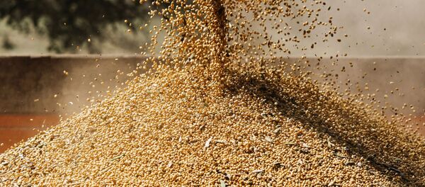 Уборка сои в Краснодарском крае - Sputnik Кыргызстан