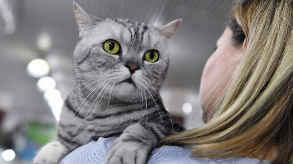 Мышык кармаган аял - Sputnik Кыргызстан