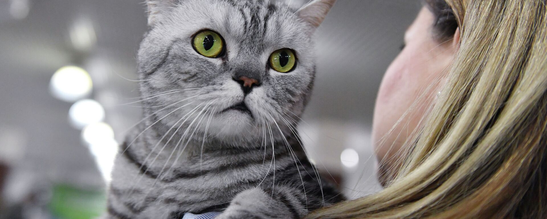 Мышык кармаган аял - Sputnik Кыргызстан, 1920, 04.11.2025