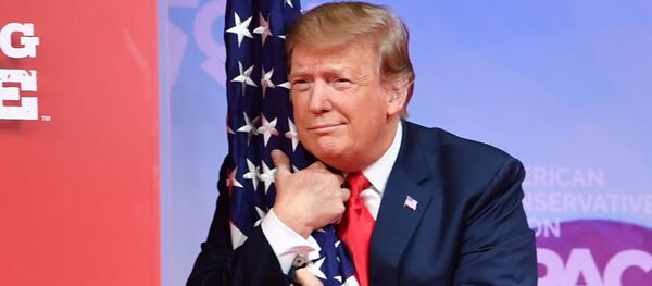 АКШнын президенти Дональд Трамп. Архив - Sputnik Кыргызстан