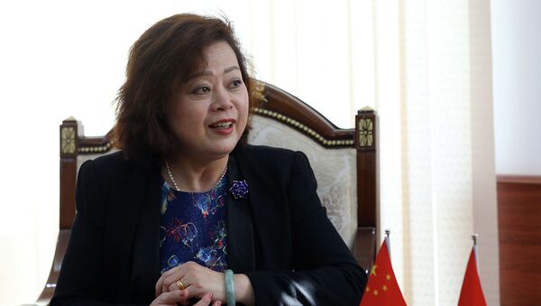 Новый посол Китая в Кыргызстане Ду Дэвэнь  - Sputnik Кыргызстан